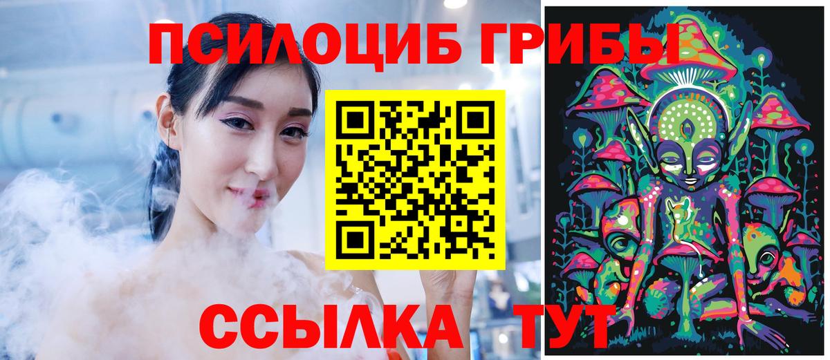 Гагарин  Псилоцибиновые грибы Psilocybe  Вход с VPN 