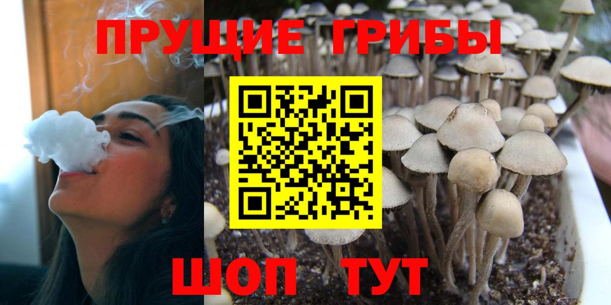 Псилоцибиновые грибы Magic Shrooms Гагарин